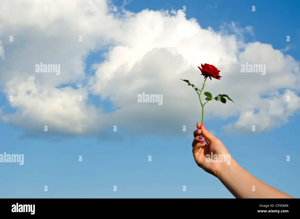 Andachtsbild von Elisabeth mit Marple im Herzen