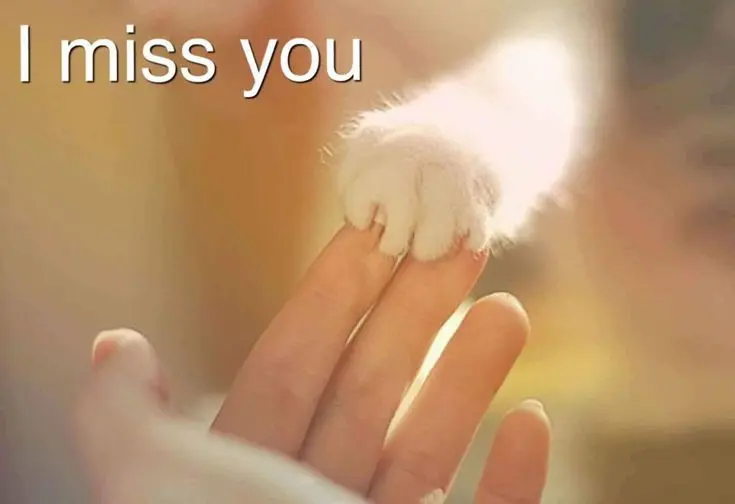 Andachtsbild von Für unser kleines Lieslchen❤️