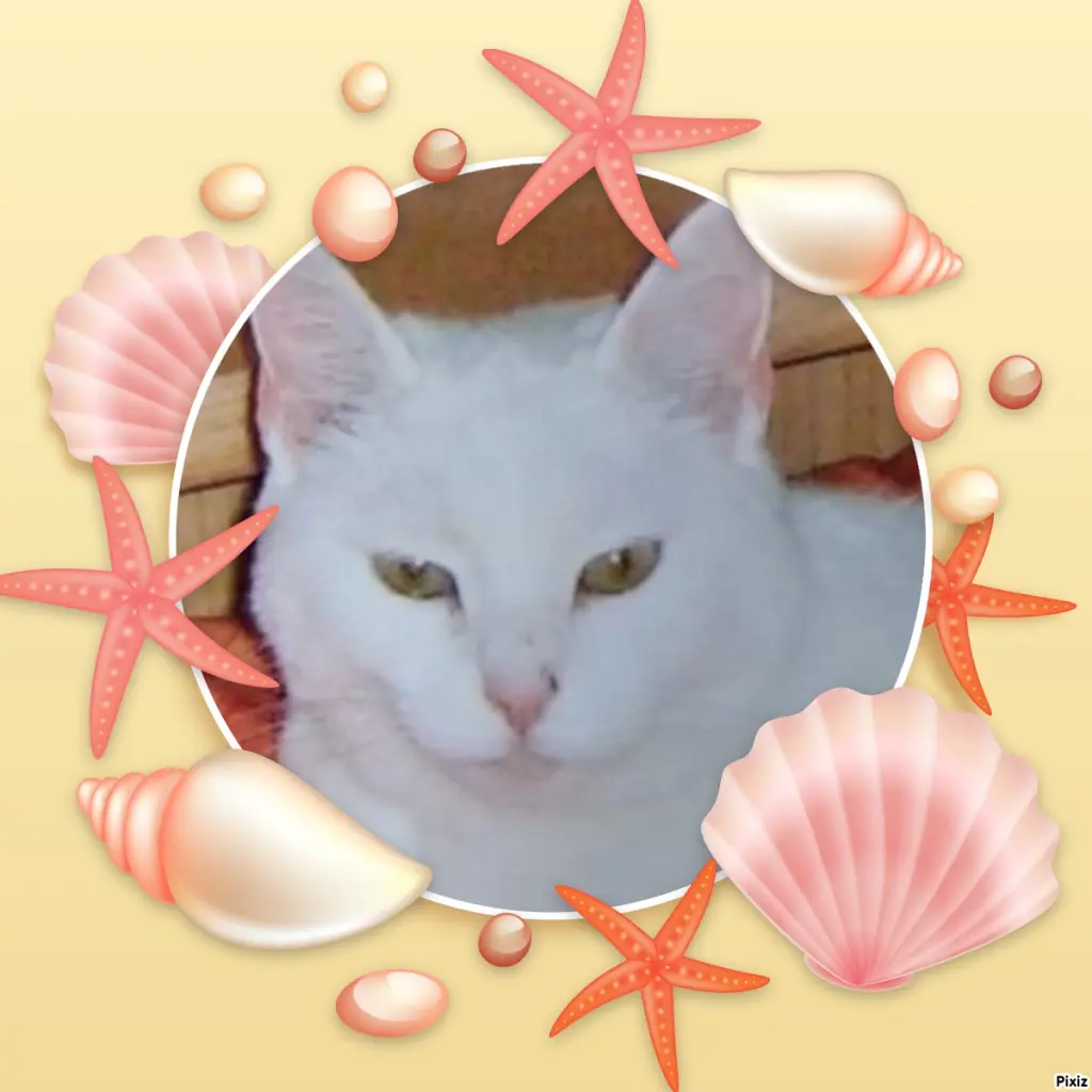 Andachtsbild von Sternchenpost ⭐