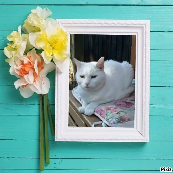 Andachtsbild von Timmys Mutti Tanja an Sternenprinzessin Lissy