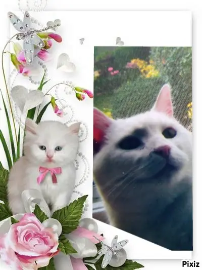 Andachtsbild von Für dich kleine Lieslmaus ❤️