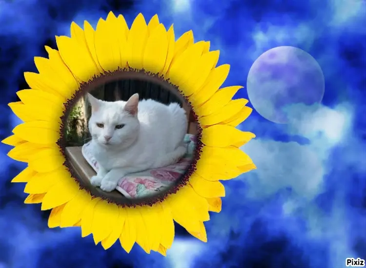 Andachtsbild von Timmys Mutti Tanja an Sternenprinzessin Lissy