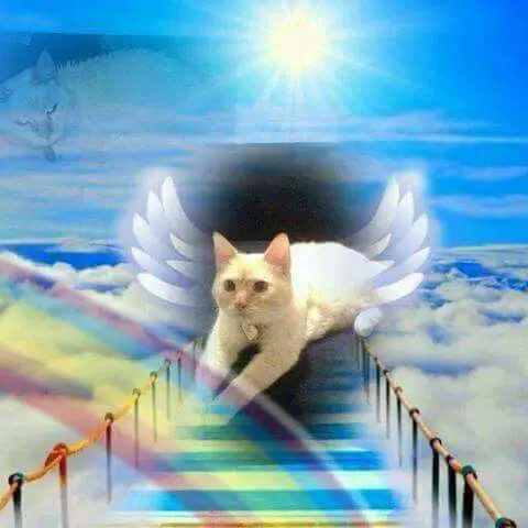 Andachtsbild von Für unser kleines Lieslchen ❤️