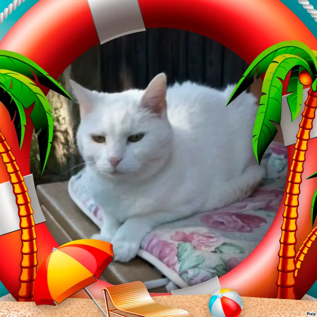 Andachtsbild von Timmys Mutti Tanja an Sternenprinzessin Lissy