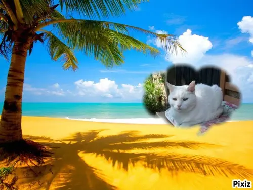 Andachtsbild von Timmys Mutti Tanja an Sternenprinzessin Lissy