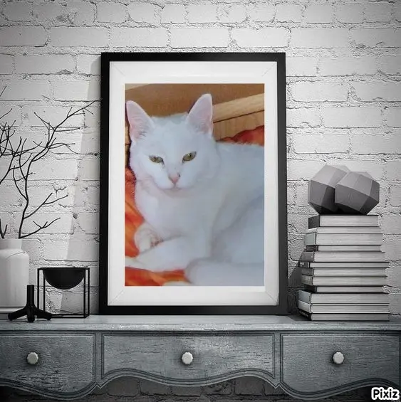 Andachtsbild von Sternchenpost ⭐