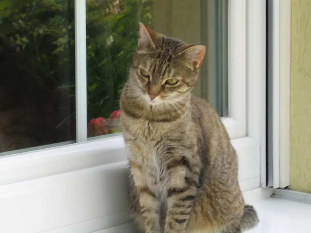 Andachtsbild von Elisabeth mit Marple