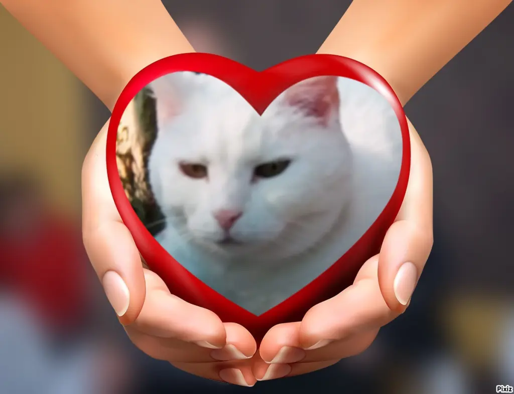 Andachtsbild von Für unser liebes Lieschen ♥️