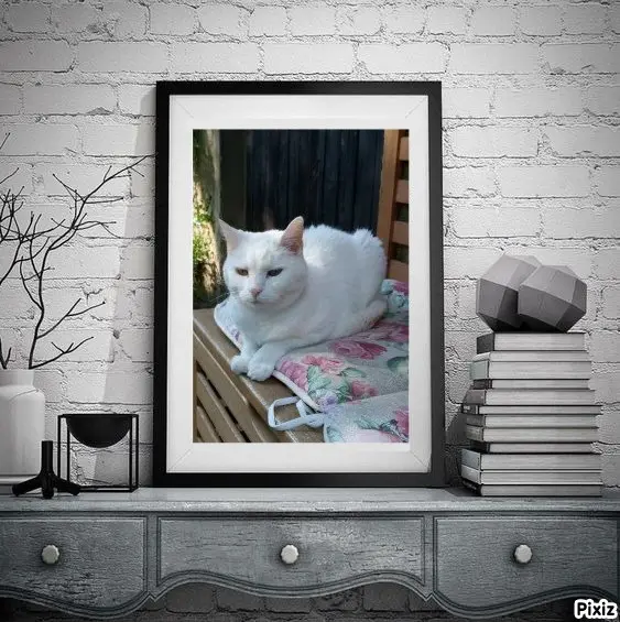 Andachtsbild von Timmys Mutti Tanja an Sternenprinzessin Lissy