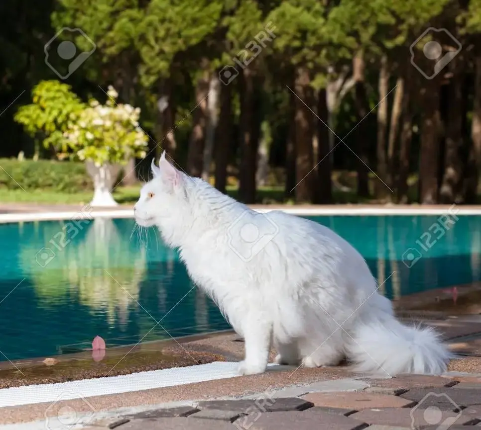 Andachtsbild von Elisabeth mit Marple im ♥