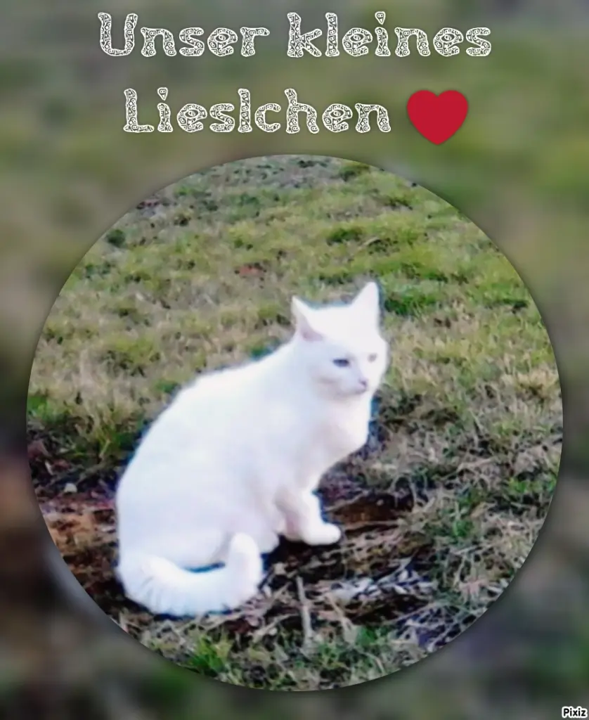Andachtsbild von Für dich kleine Lieslmaus ❤️