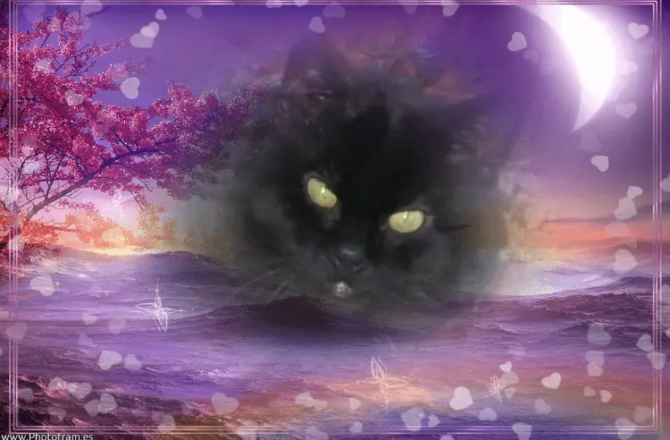 Andachtsbild von Ravi & Zausel