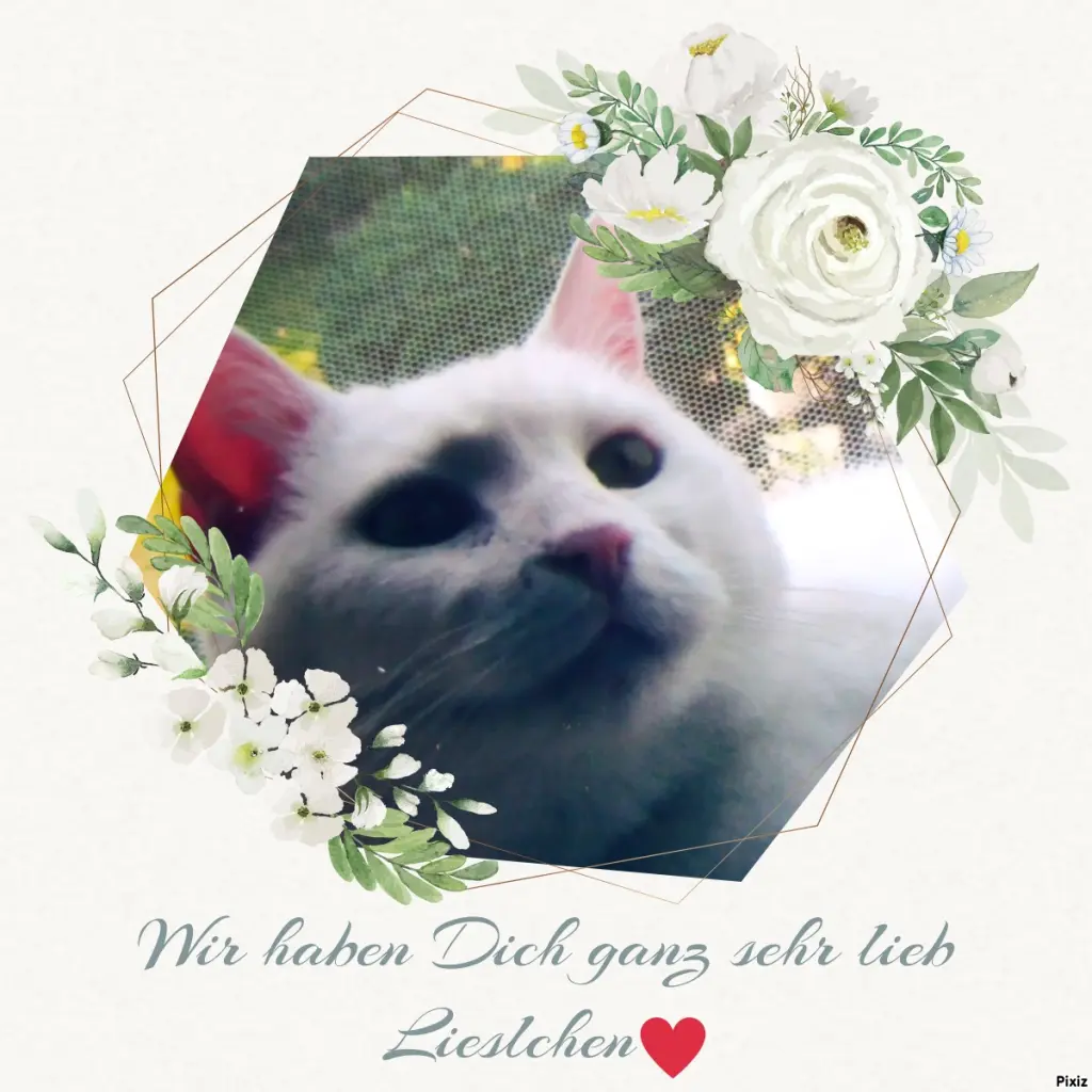 Andachtsbild von Für unser kleines Schneeflöckchen ♥️