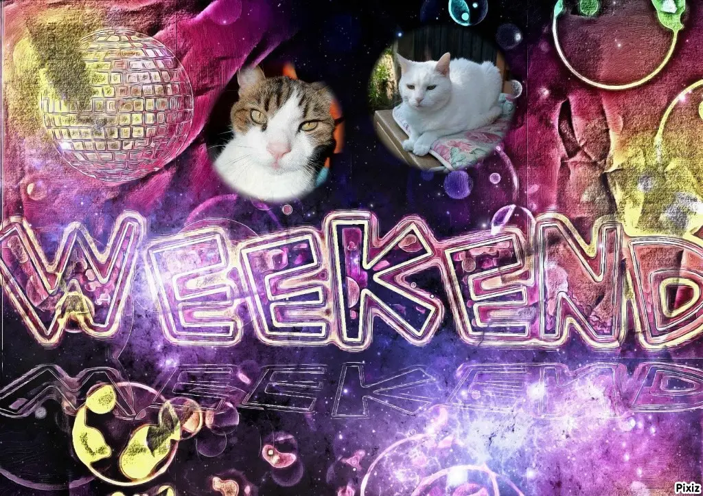 Andachtsbild von Timmys Mutti Tanja an Sternenprinzessin Lissy