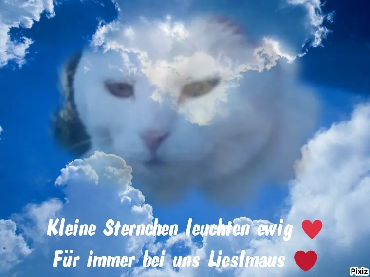 Andachtsbild von Für unser kleines Lieslchen 