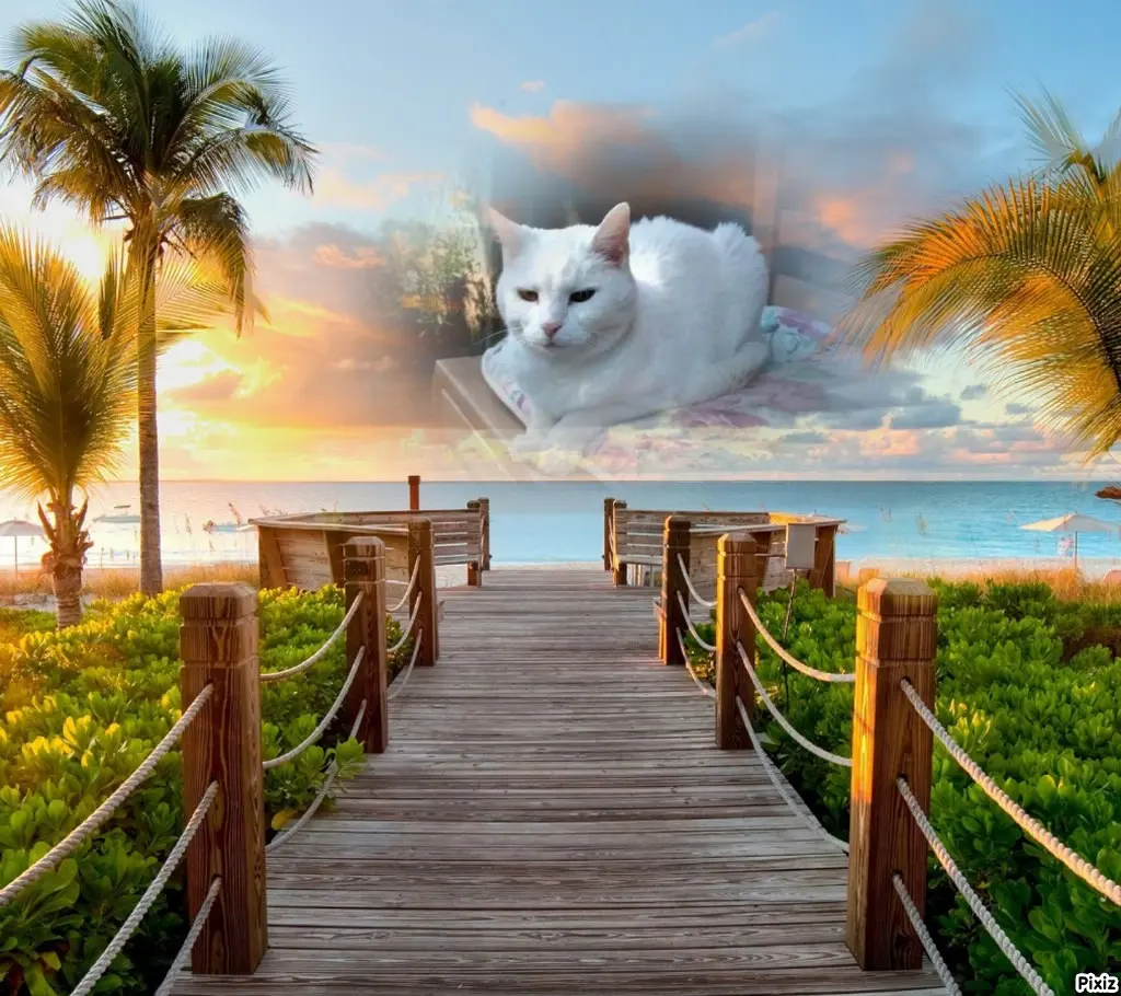 Andachtsbild von Timmys Mutti Tanja an Sternenprinzessin Lissy