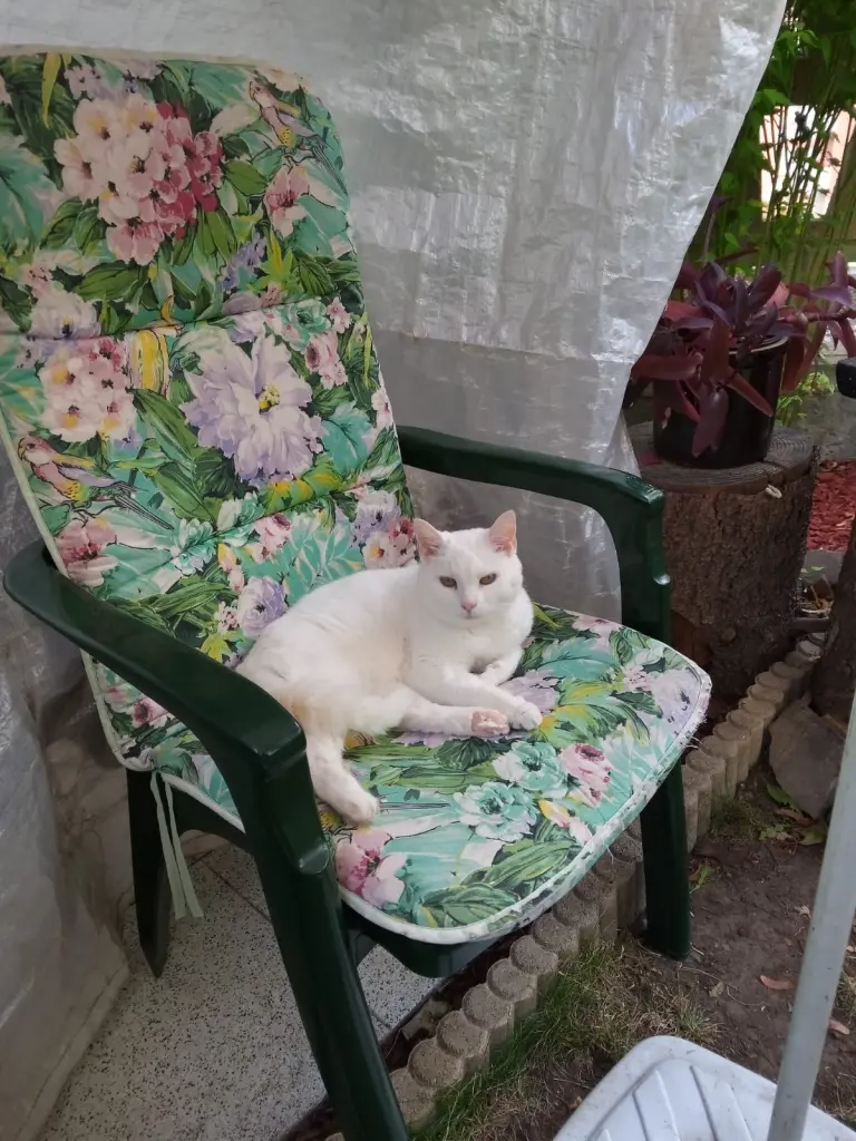 Andachtsbild von Für unser kleines Schneeflöckchen ♥️