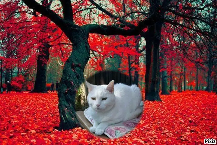 Andachtsbild von Timmys Mutti Tanja an Sternenprinzessin Lissy