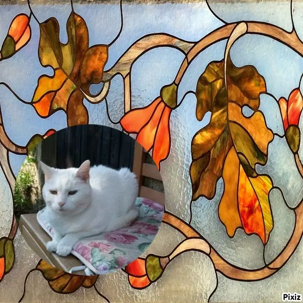 Andachtsbild von Timmys Mutti Tanja an Sternenprinzessin Lissy ❤