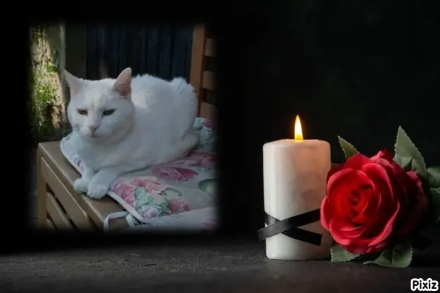 Andachtsbild von Tanja mit Timmy im Herzen 