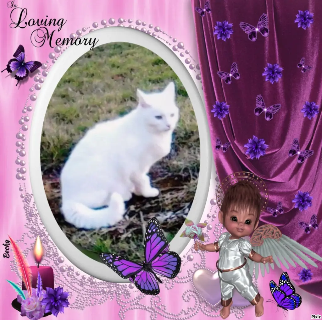 Andachtsbild von Sternchenpost ⭐