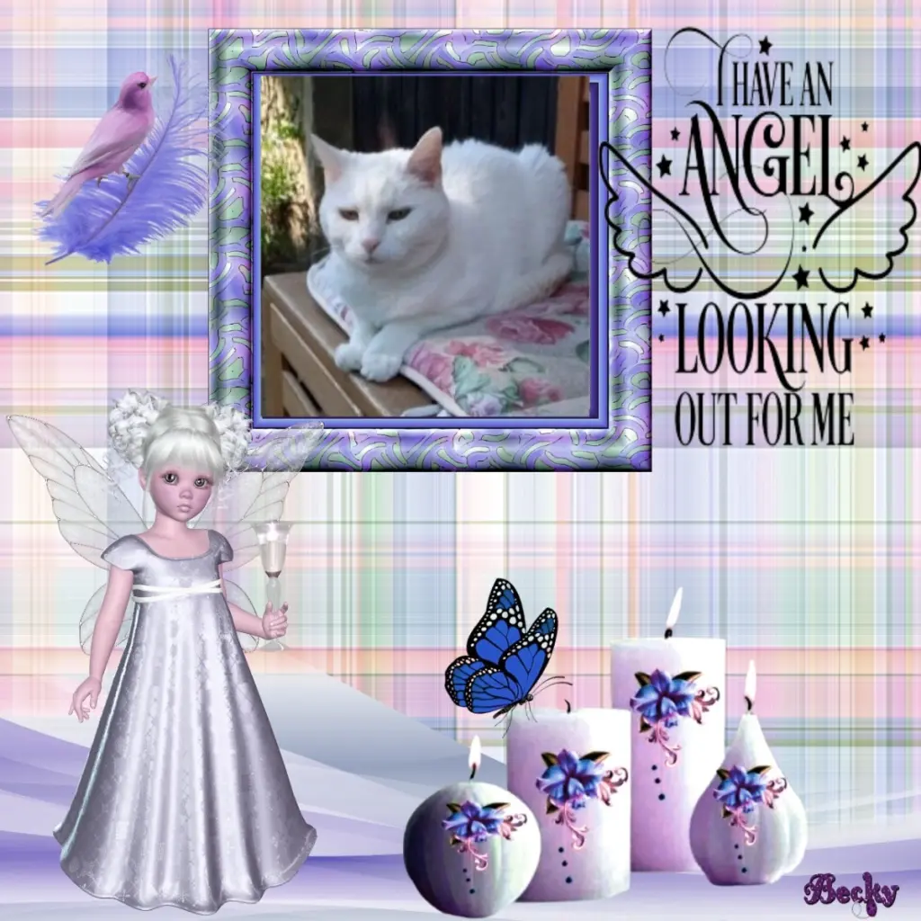 Andachtsbild von Andrea mit Minki im ♥️