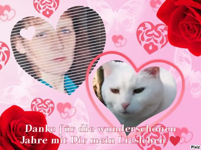 Andachtsbild von Für unser Lieslchen - Engel auf vier Pfötchen ♥️