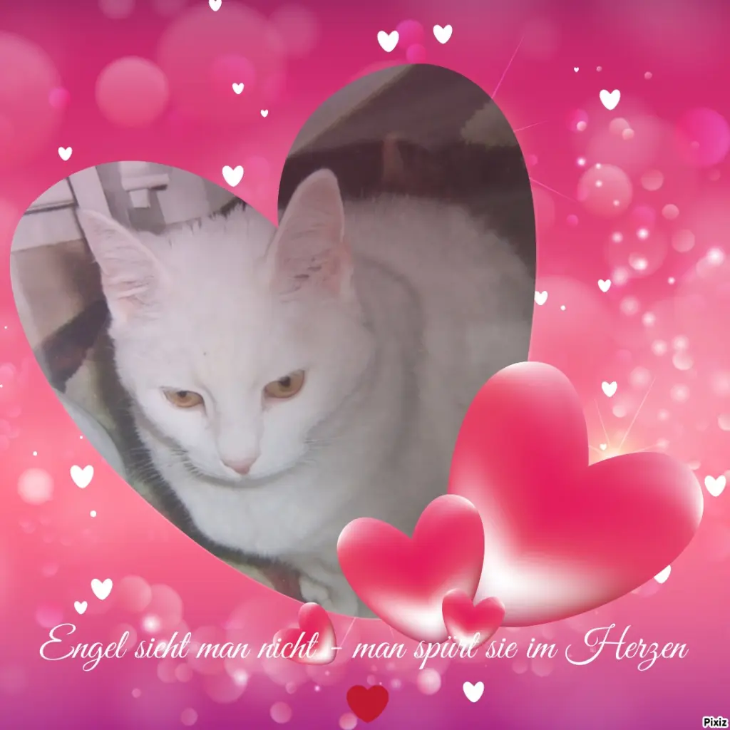 Andachtsbild von Für Dich kleines Schneeflöckchen ♥️