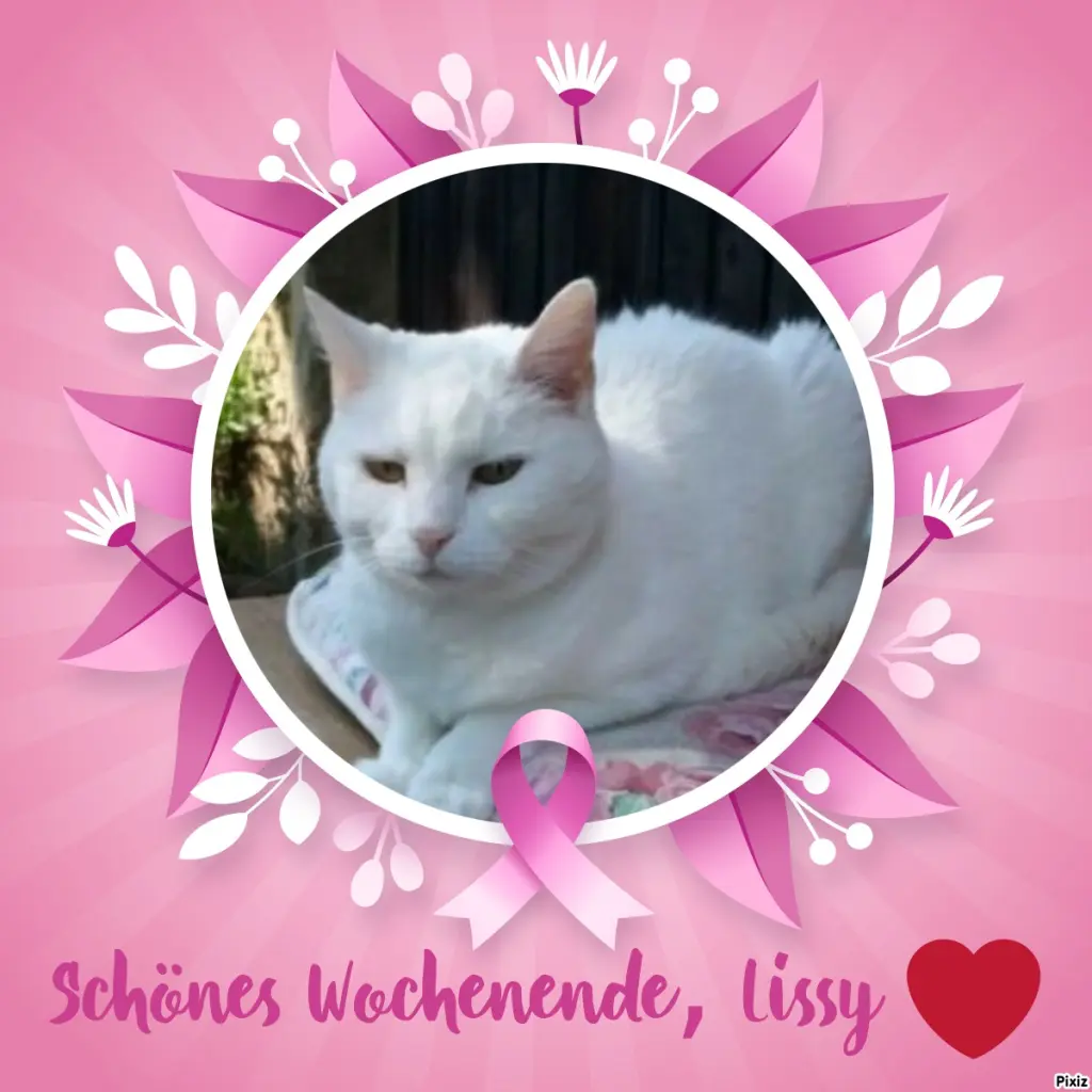 Andachtsbild von Timmys Mutti Tanja an Sternenprinzessin Lissy ❤