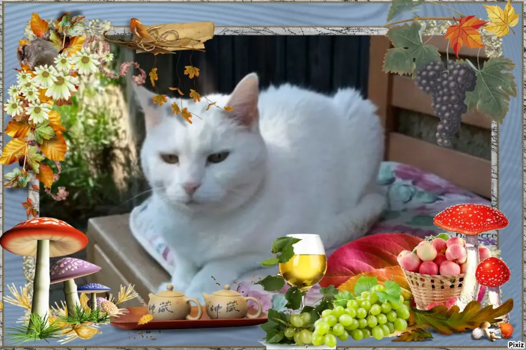 Andachtsbild von Timmys Mutti Tanja an Sternenprinzessin Lissy ❤