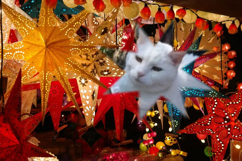 Andachtsbild von Andrea mit Minki im ♥️