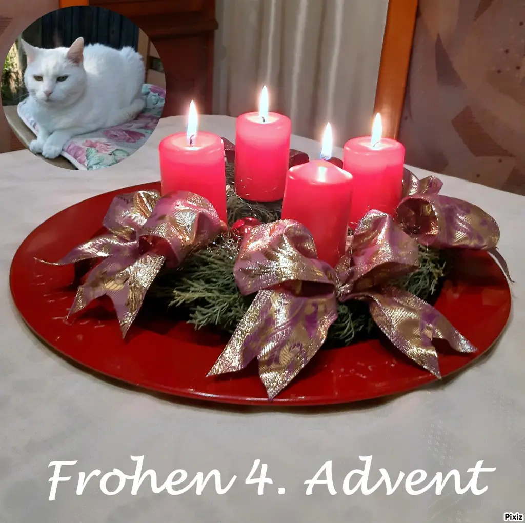 Andachtsbild von Timmys Mutti Tanja an Sternenprinzessin Lissy ❤