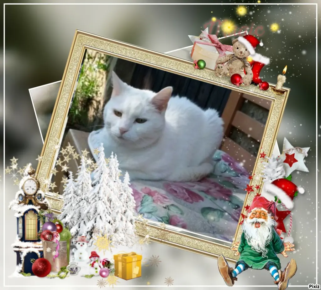 Andachtsbild von Timmys Mutti Tanja an Sternenprinzessin Lissy ❤