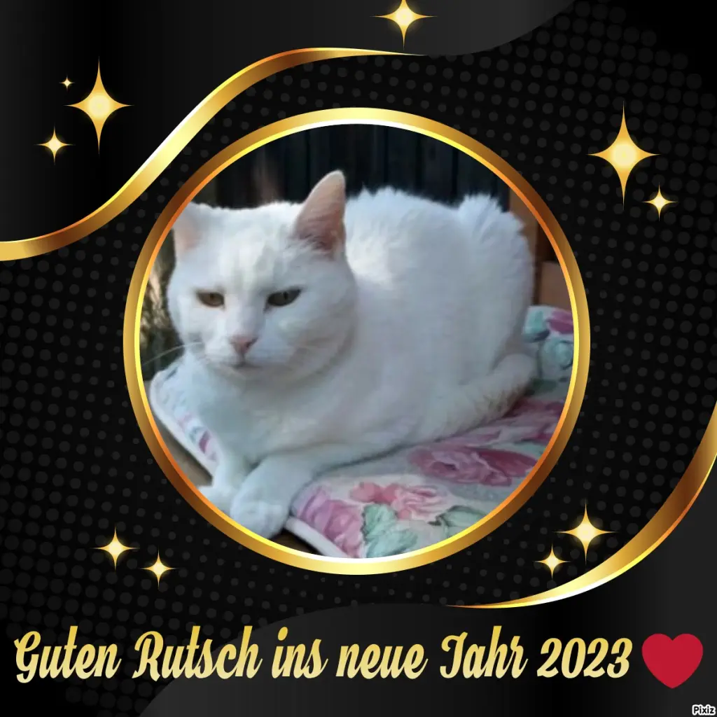 Andachtsbild von Timmys Mutti Tanja an Sternenprinzessin Lissy ❤