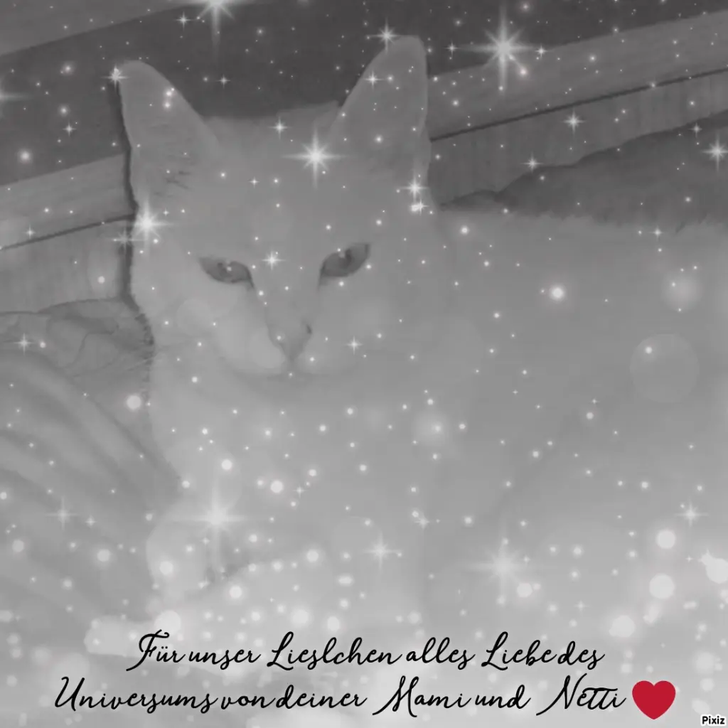 Andachtsbild von Für Dich meine kleine Lieslmaus ❤️