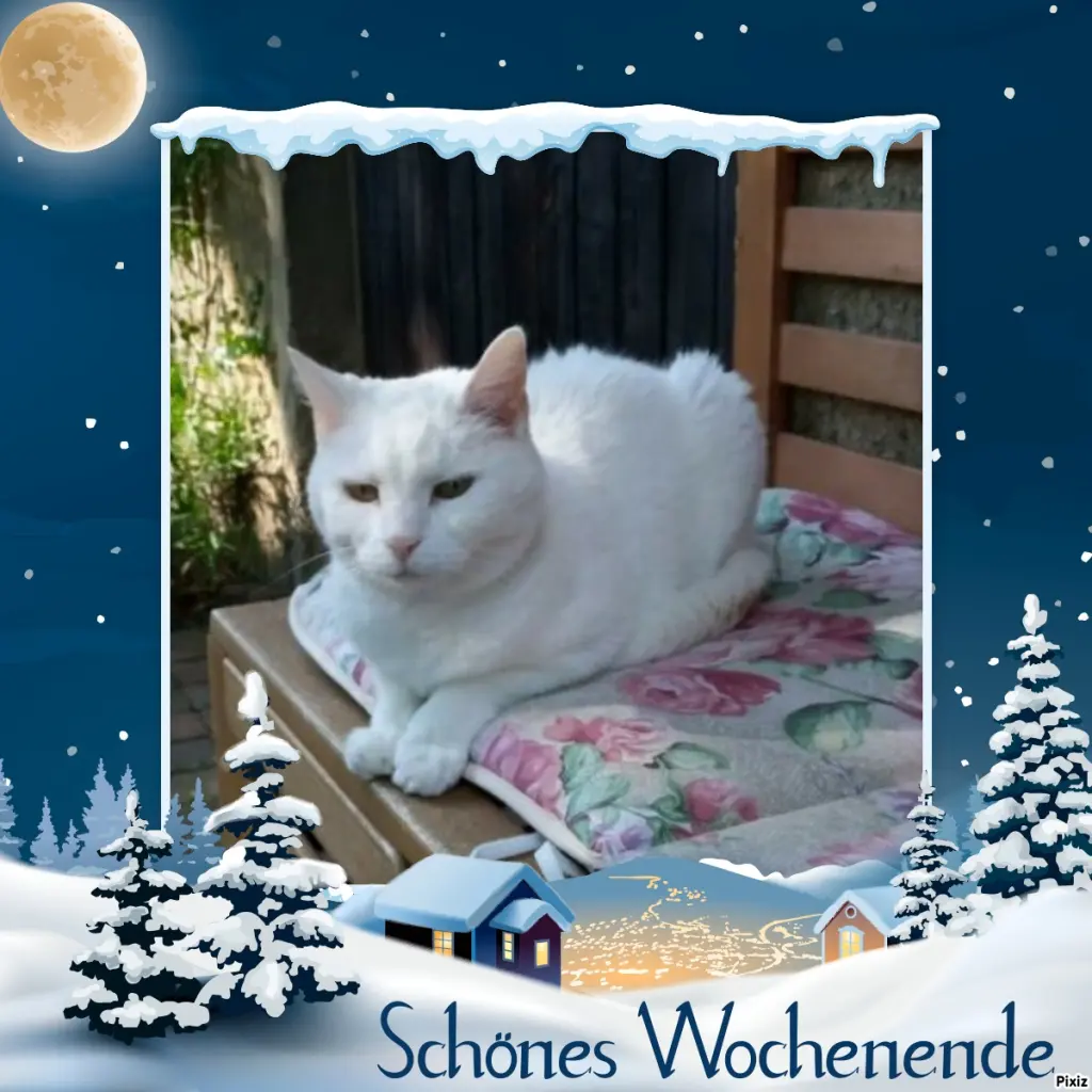 Andachtsbild von Timmys Mutti Tanja an Sternenprinzessin Lissy ❤