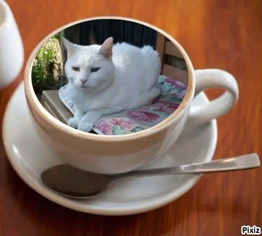 Andachtsbild von Timmys Mutti Tanja an Sternenprinzessin Lissy ❤