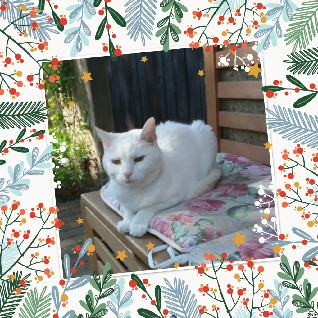 Andachtsbild von Timmys Mutti Tanja an Sternenprinzessin Lissy ❤