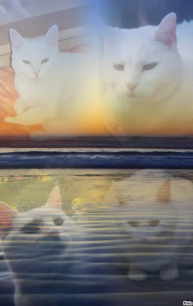 Andachtsbild von Für unser kleines Lieselchen ♥️