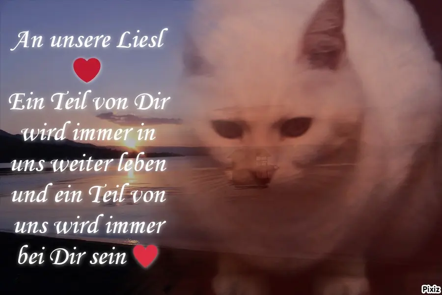 Andachtsbild von Für Dich...unsere kleine Lieslmaus ❤️