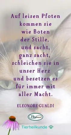 Andachtsbild von für Lissy 