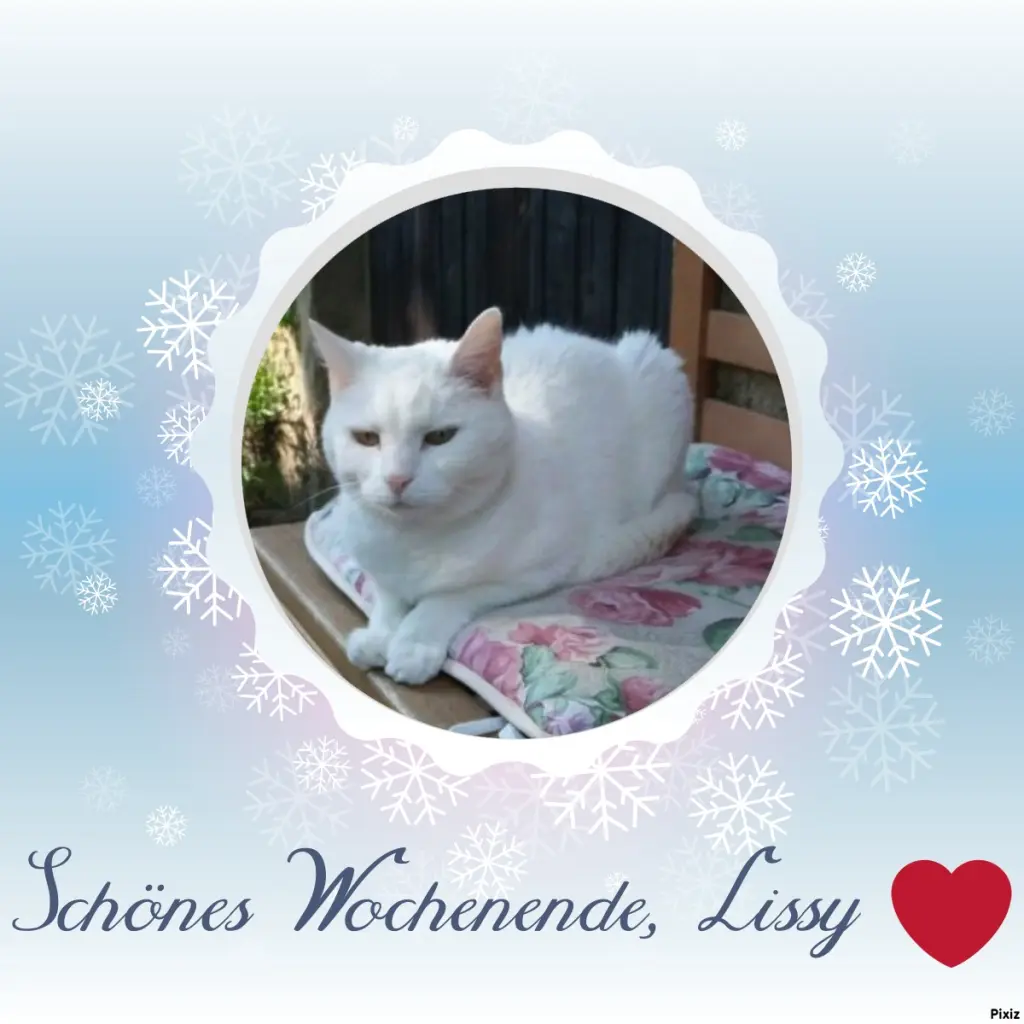 Andachtsbild von Timmys Mutti Tanja an Sternenprinzessin Lissy ❤