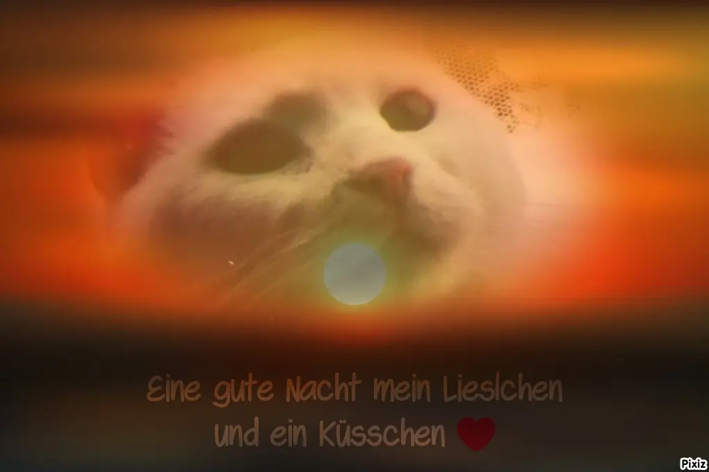Andachtsbild von Für Dich meine kleine Liesl ❤️