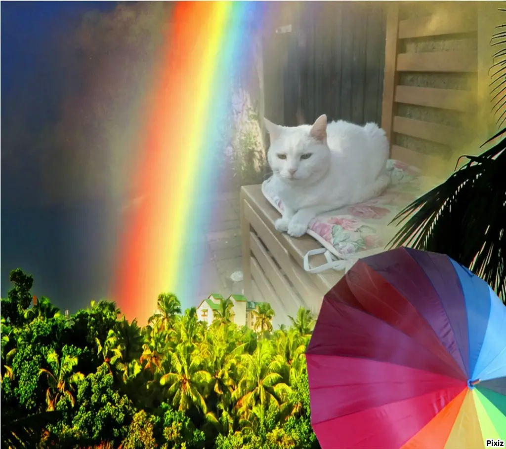 Andachtsbild von Timmys Mutti Tanja an Sternenprinzessin Lissy ❤