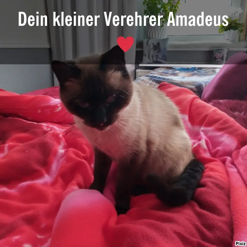 Andachtsbild von Für Dich meine kleine liebe Lieslmaus ♥️