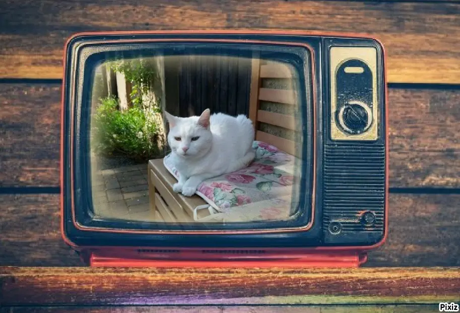 Andachtsbild von Timmys Mutti Tanja an Sternenprinzessin Lissy ❤