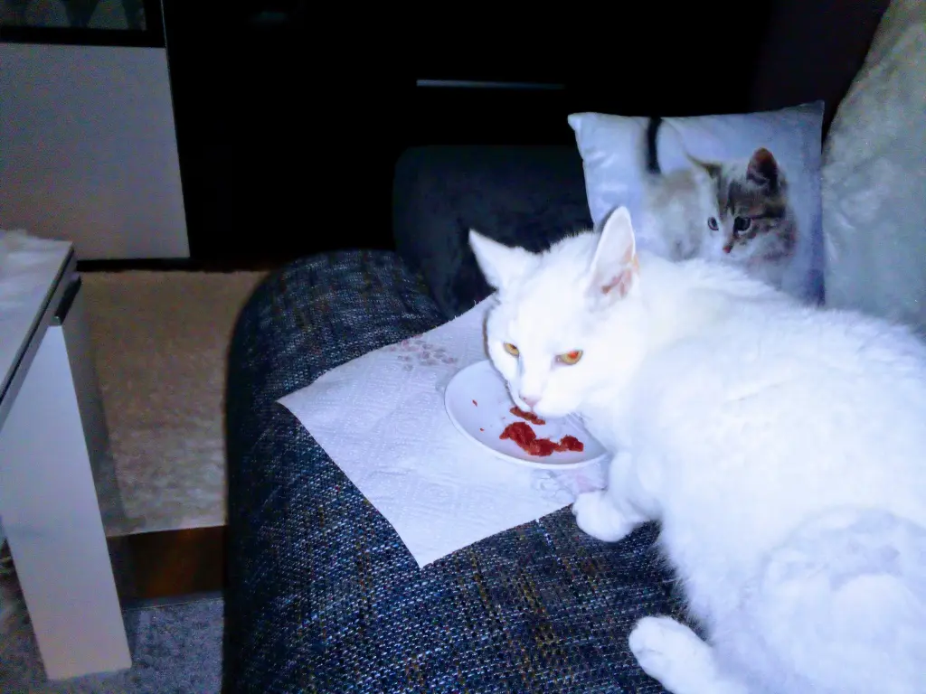 Andachtsbild von Für Dich mein kleines Lieslchen ♥️