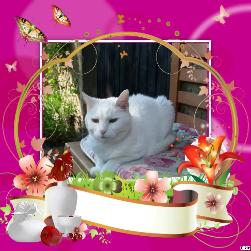 Andachtsbild von Timmys Mutti Tanja an Sternenprinzessin Lissy ❤