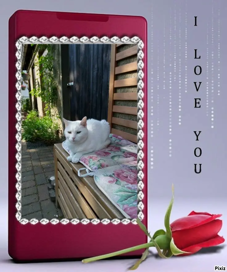 Andachtsbild von Timmys Mutti Tanja an Sternenprinzessin Lissy ❤