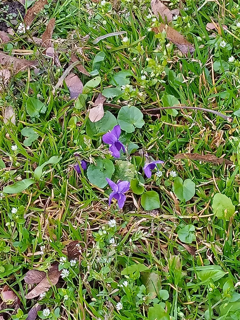 Andachtsbild von Für Dich mein kleines Lieslchen ♥️